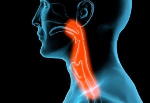 Seminario – Cura del Paziente con disfagia