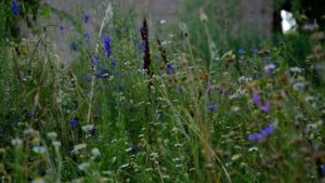 Paesaggio in rassegna